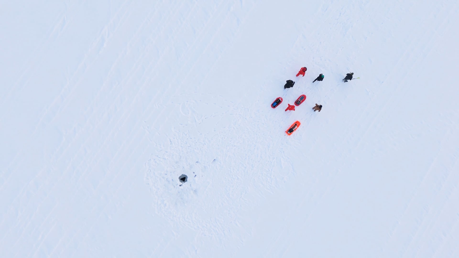 Still from What We Missed Beneath the Ice
